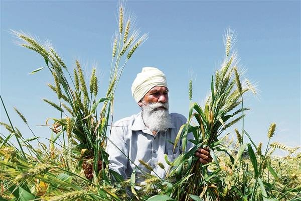 Things To Know About Farm Laws